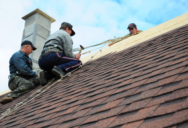Best Storm Damage Roof Repair  in Cut Bank, MT